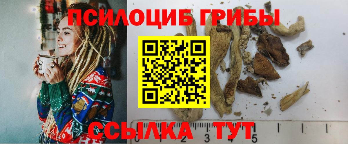 магазин продажи   Галлюциногенные грибы MAGIC MUSHROOMS  Вход с VPN  Энгельс  Галлюциногенные грибы прущие грибы 
