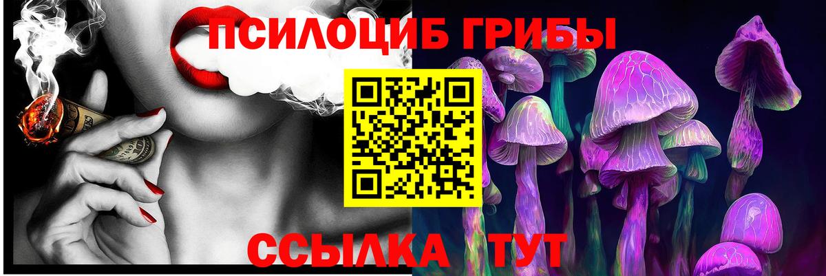 Псилоцибиновые грибы GOLDEN TEACHER Энгельс